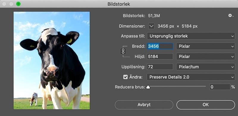 72 ppi, 72 ppi bildupplösning – vanlig myt om bilder för webben