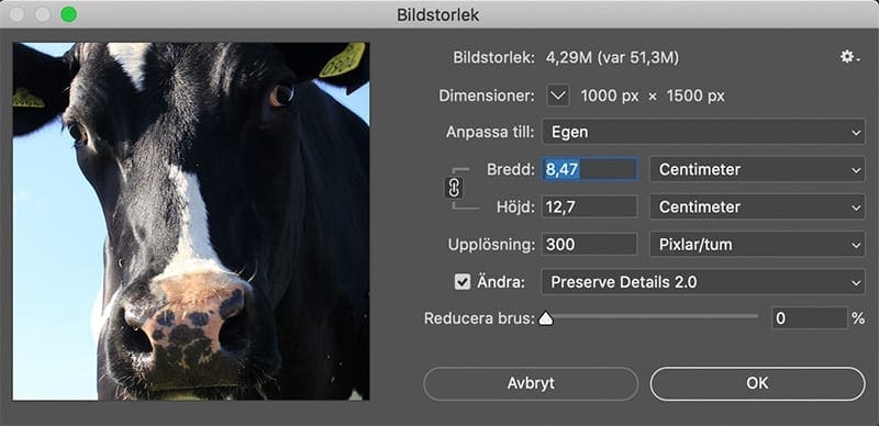 72 ppi, 72 ppi bildupplösning – vanlig myt om bilder för webben