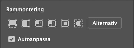 autoanpassa