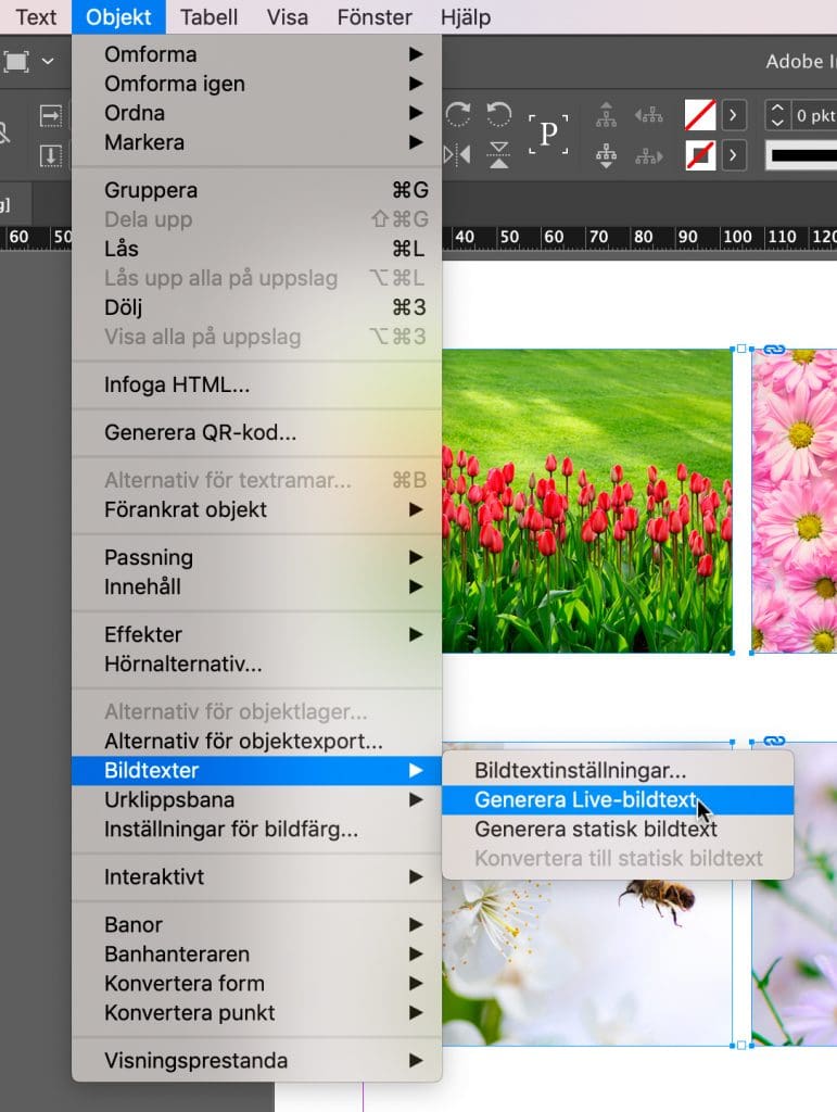 automatiska bildtexter, Automatiska bildtexter i InDesign