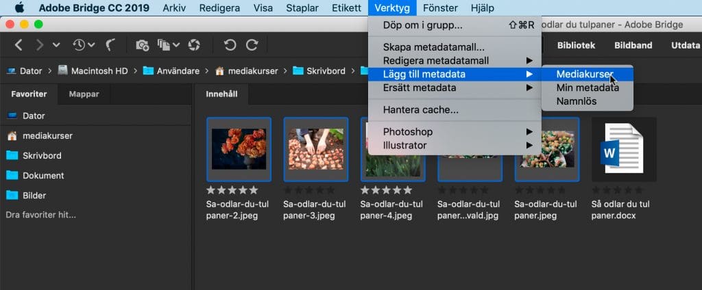 automatiska bildtexter, Automatiska bildtexter i InDesign