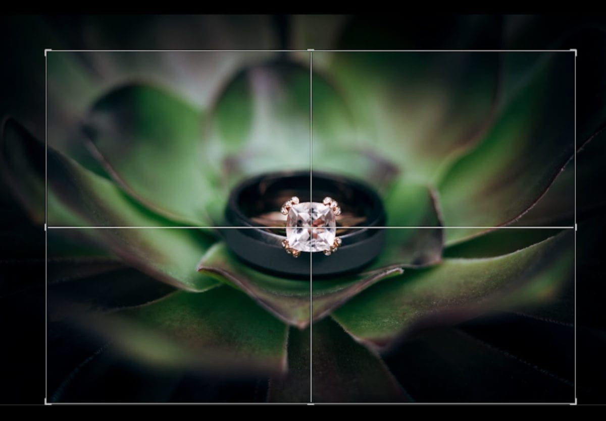 , Adobe Creative Cloud – uppdatering juni 2020