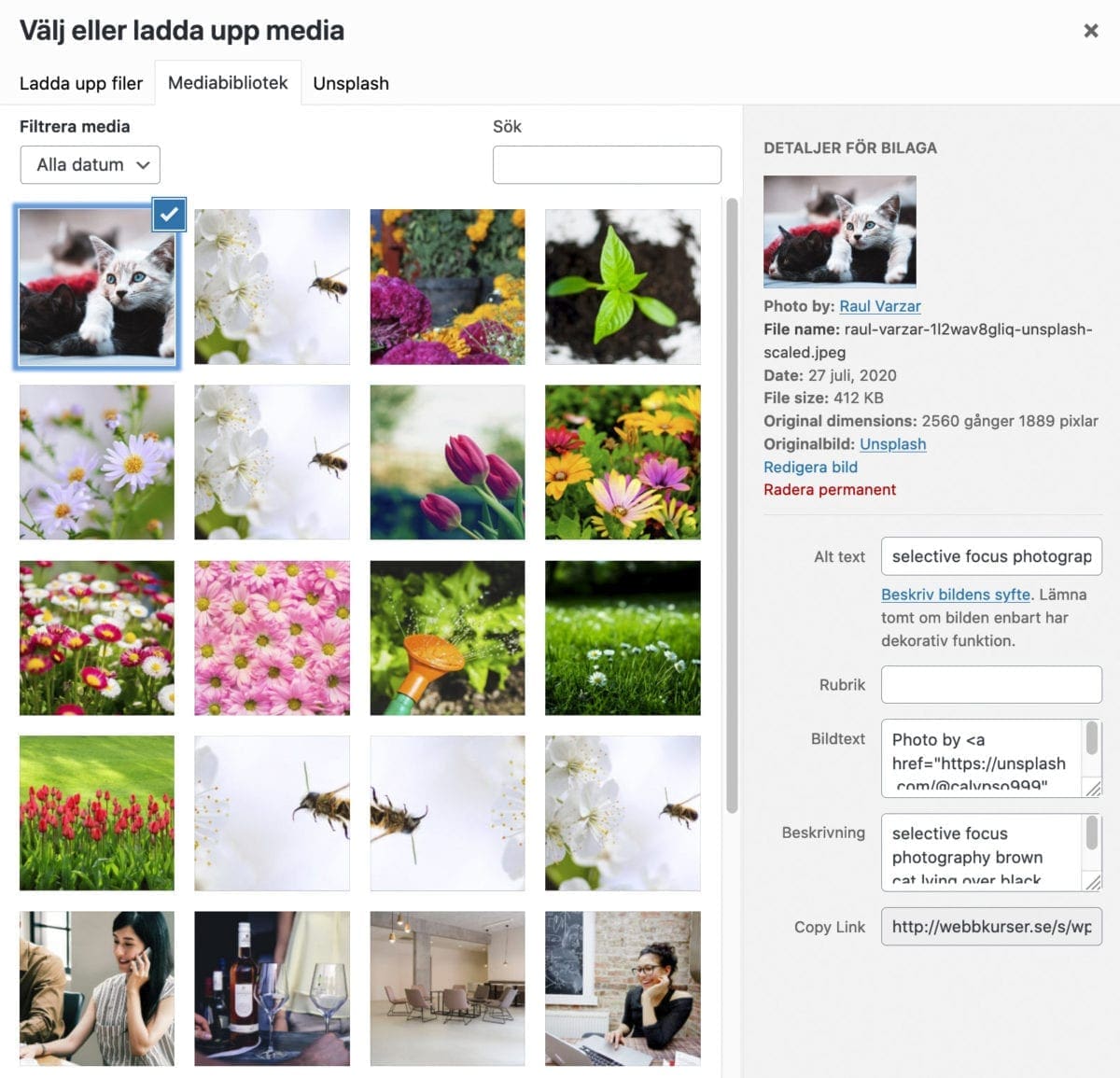 unsplash, Unsplash gratis bilder med nytt tillägg