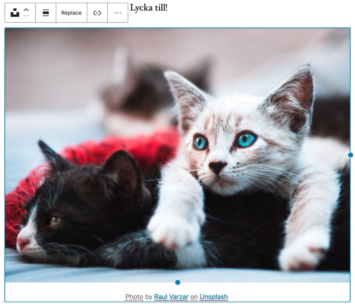 unsplash, Unsplash gratis bilder med nytt tillägg