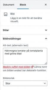 alt-text, Alt-text &#8211; vad är det och hur använder man den