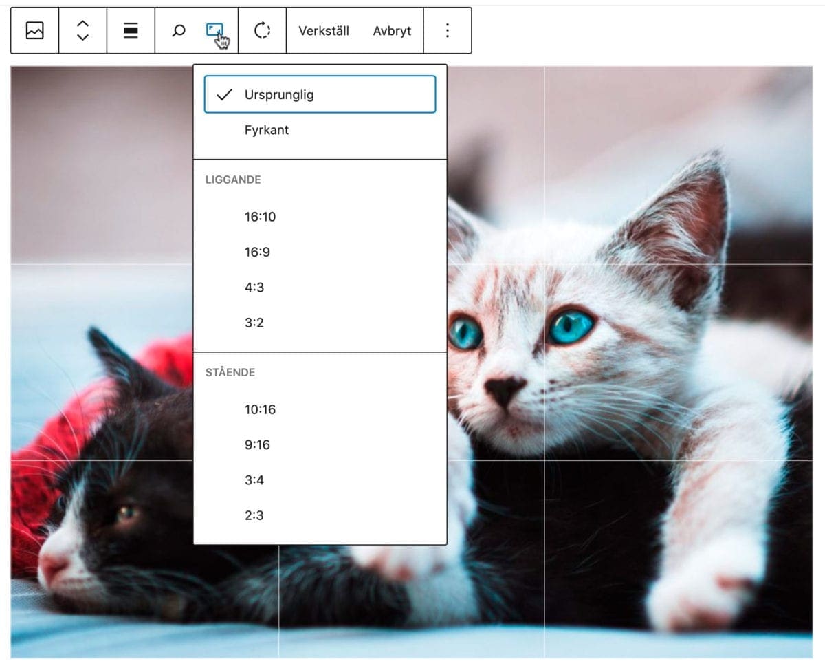 wordpress 5.5, WordPress 5.5 – nya spännande funktioner i senaste uppdateringen