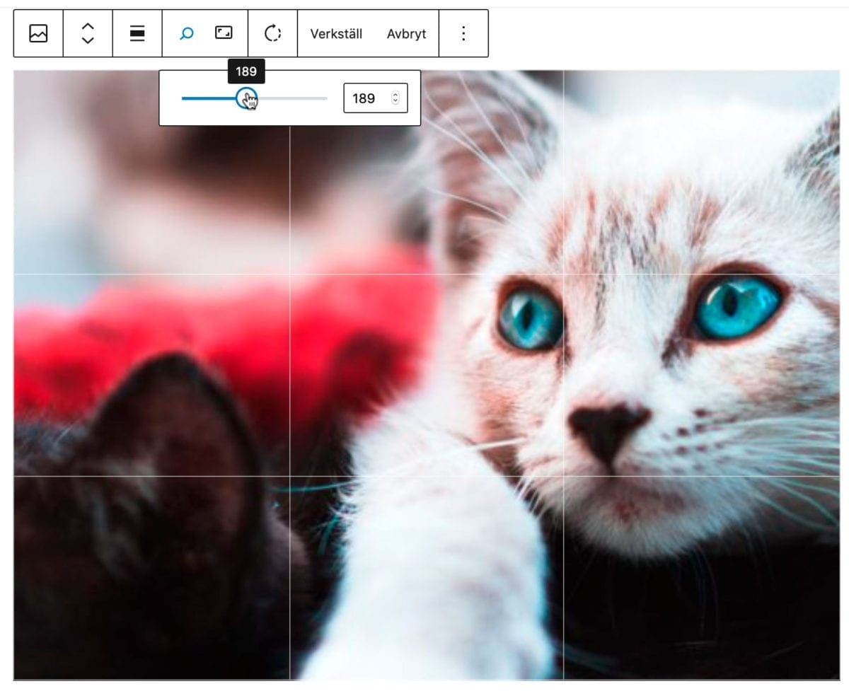 wordpress 5.5, WordPress 5.5 – nya spännande funktioner i senaste uppdateringen