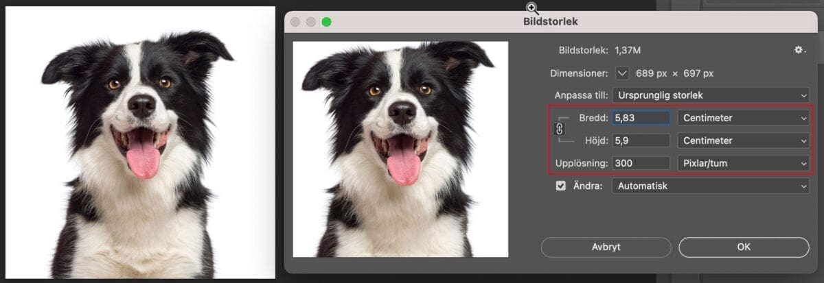 Förstora bilder bildstorlek