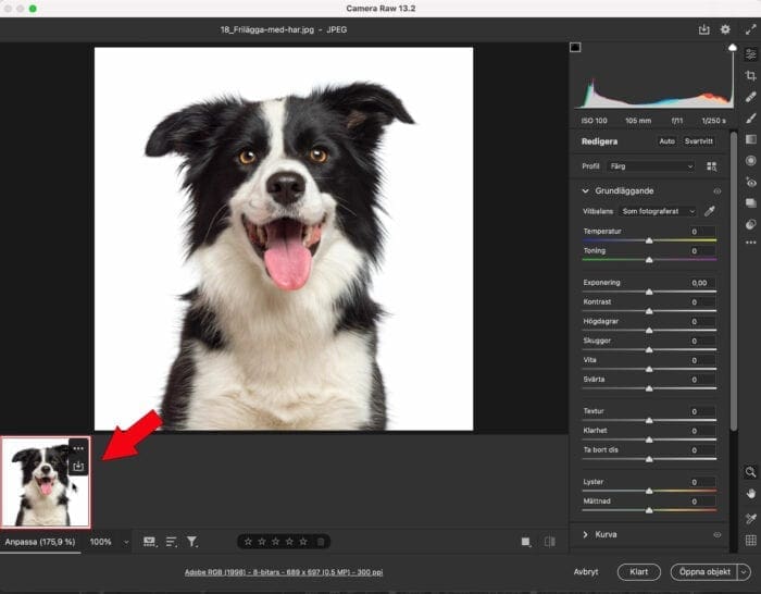 Förstora bilder i Camera raw filmstrip