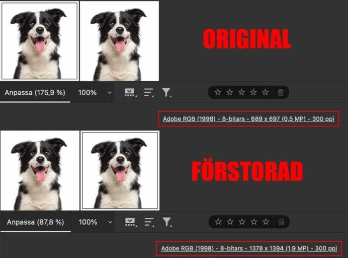 Jämförelse förstora bilder