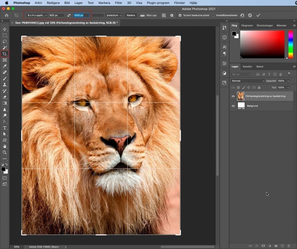 webp, WebP till WordPress 5.8