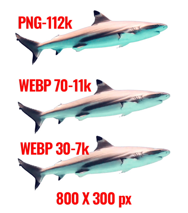 webp, WebP till WordPress 5.8