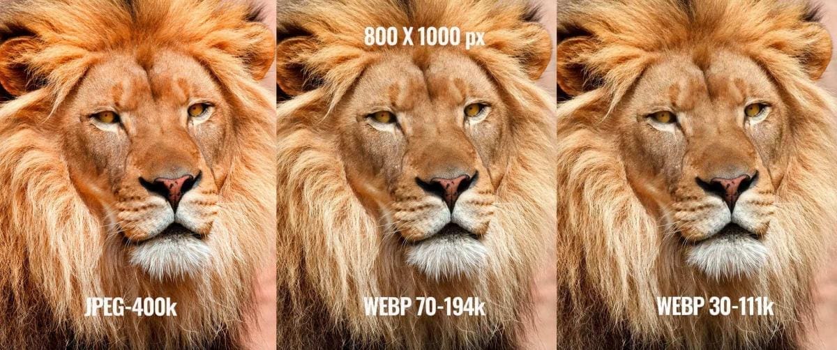 webp, WebP till WordPress 5.8