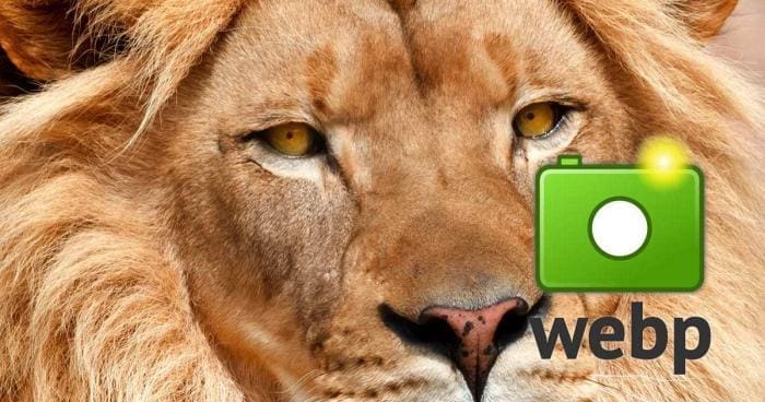 wordpress 5.8, WordPress 5.8 ”Tatum” är här