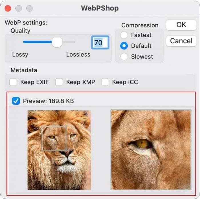 webp, WebP till WordPress 5.8