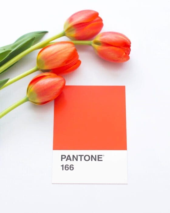 pantones färgbibliotek exempel