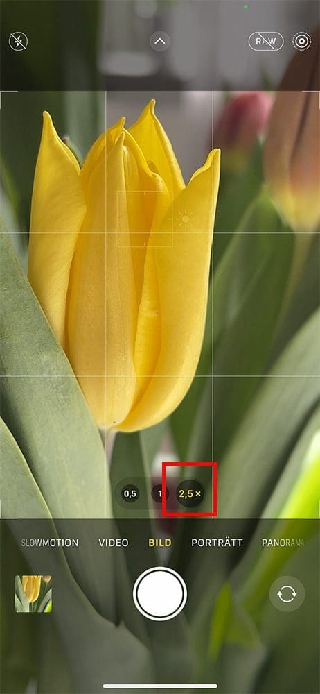 macrofoto