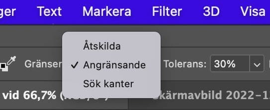 färgersättning, Verktyget Färgersättning i Photoshop