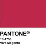 viva magenta, Viva Magenta – Årets färg 2023