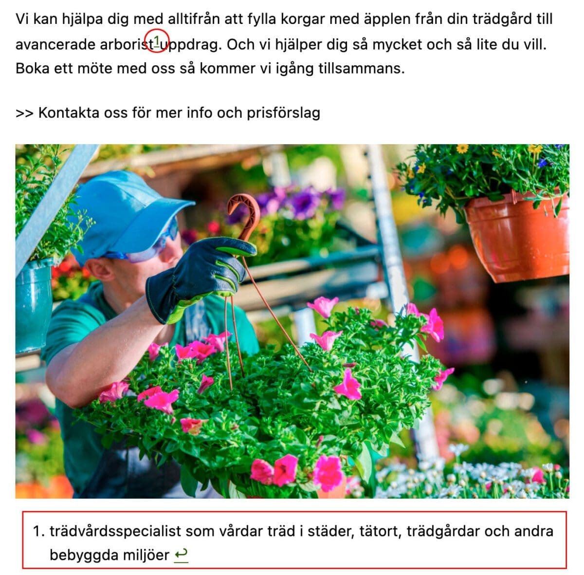 wordpress 6.3, WordPress 6.3 är här