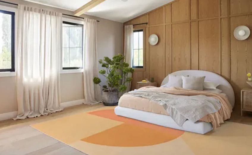 Peach Fuzz, Peach Fuzz är Pantone Årets Färg 2024