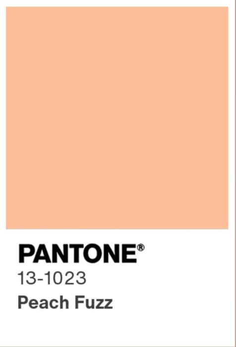 Peach Fuzz, Peach Fuzz är Pantone Årets Färg 2024