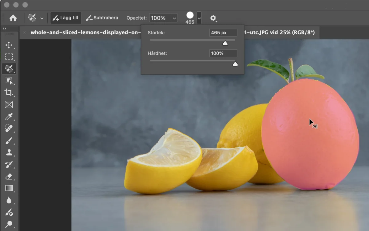 photoshop 2024, Uppdatering av Photoshop 2024