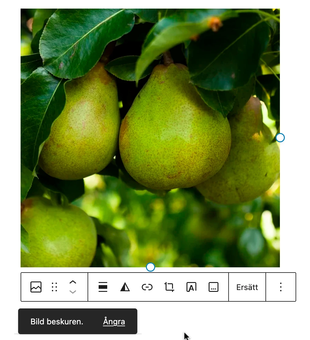 wordpress 6.8, WordPress 6.8 – nyheterna