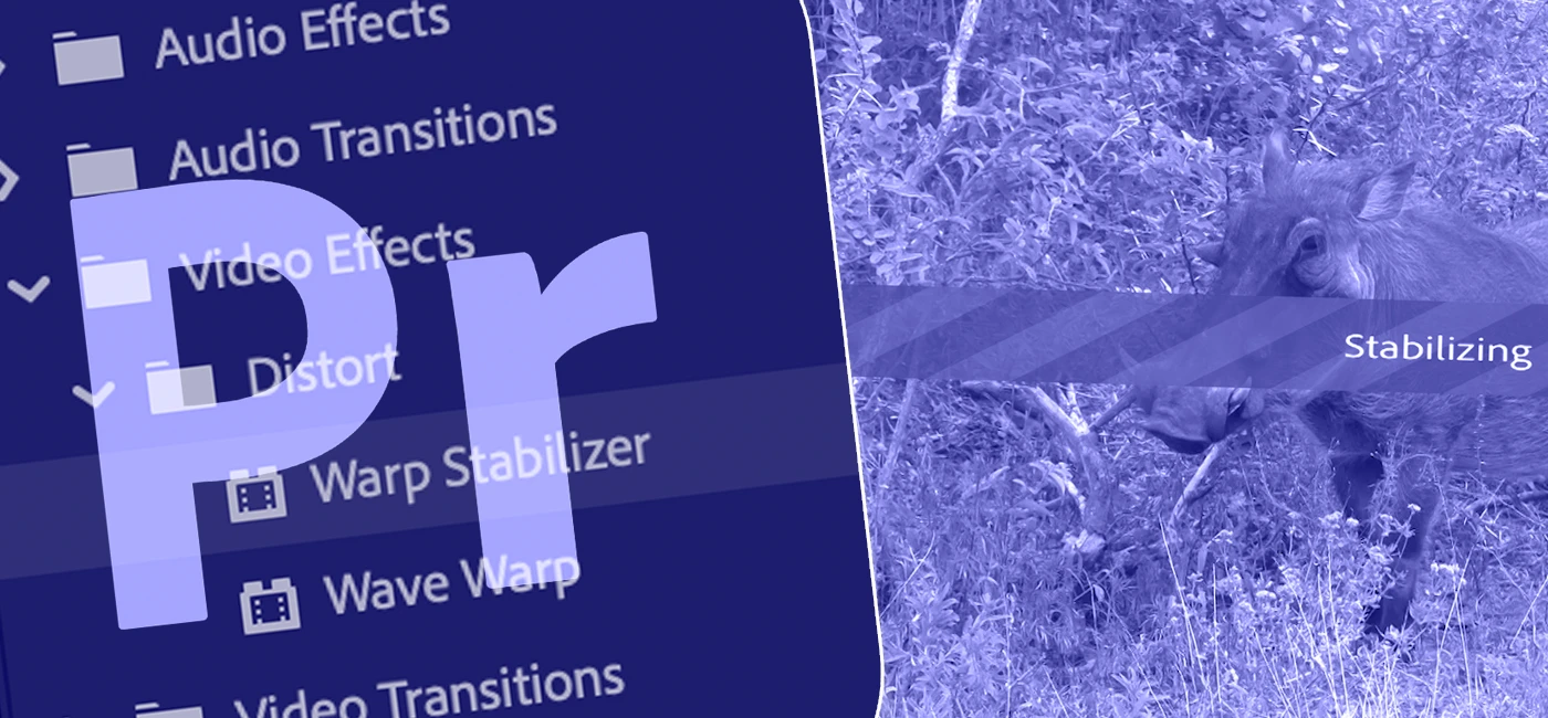 stabilisera video med warp stabilizer
