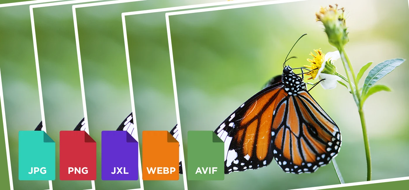 avif filformat